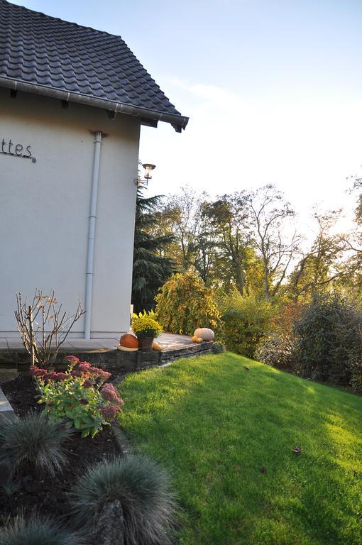 Chambres D'Hotes Les Chalinettes Fegersheim Eksteriør billede